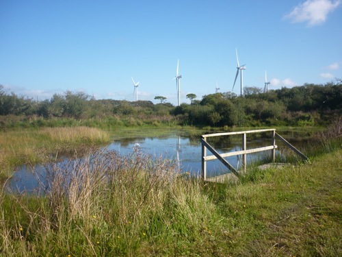 dip into pristine ponds from the purpose built dipping platforms