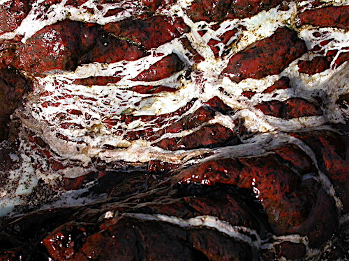 Red Serpentine - Pat Sargeant