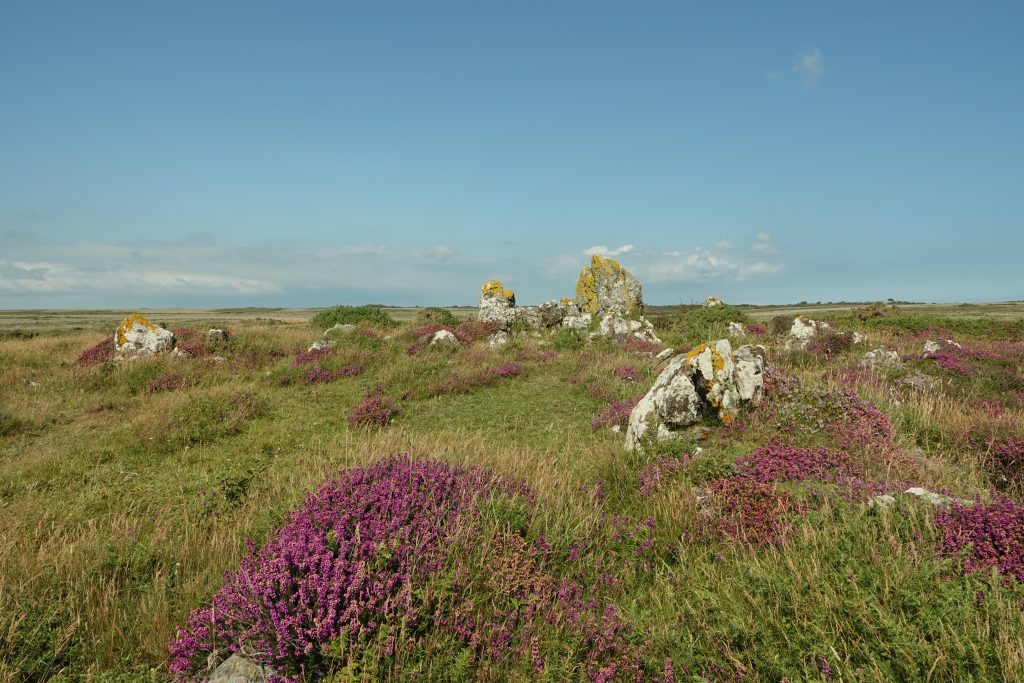 This image has an empty alt attribute; its file name is Kynance-Gate_3-1024x683.jpg